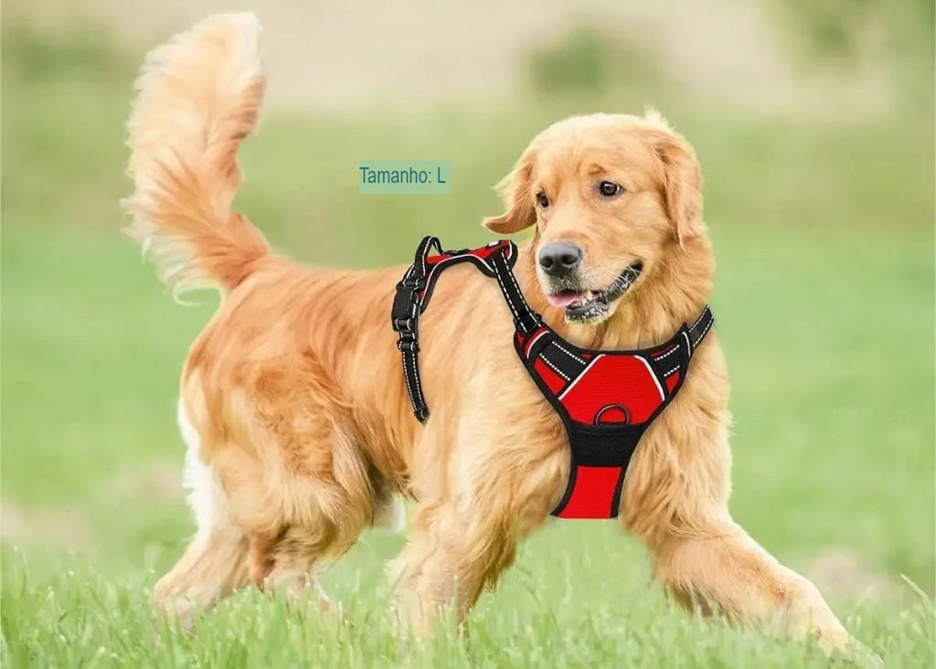 Coleira Peitoral para Cães - ControlPet Pro - Abraça o seu Cão com Segurança e Carinho.
