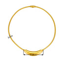 Metal Tube Snake Bone Chain Collar para Mulheres, Design Retro Francês, Exagerado Colar de Aço Inoxidável, Jóias Incolores Meninas