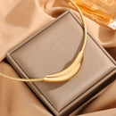 Metal Tube Snake Bone Chain Collar para Mulheres, Design Retro Francês, Exagerado Colar de Aço Inoxidável, Jóias Incolores Meninas